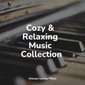 Cozy & Relaxing Music Collection