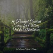 50 Peaceful Ambient Songs for Chilling Out & Meditation