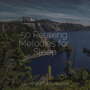 50 Relaxing Melodies for Sleep