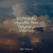 50 Melodías Apacibles Para Relajarse y Descanso