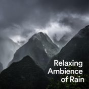Relaxing Ambience of Rain