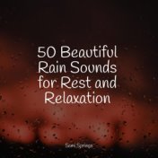 50 Beautiful Rain Sounds for Rest and Relaxation