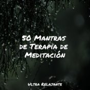 50 Mantras de Terapia de Meditación