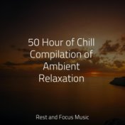 50 Hour of Chill Compilation of Ambient Relaxation