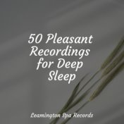 50 Pleasant Recordings for Deep Sleep
