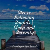 Stress Relieving Sounds | Sleep and Serenity