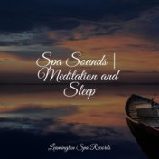 Spa Sounds | Meditation and Sleep
