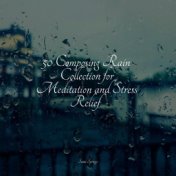 50 Composing Rain Collection for Meditation and Stress Relief