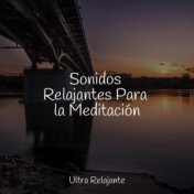 Sonidos Relajantes Para la Meditación