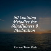 50 Soothing Melodies for Mindfulness & Meditation