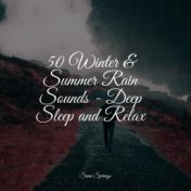 50 Winter & Summer Rain Sounds - Deep Sleep and Relax