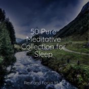 50 Pure Meditative Collection for Sleep