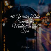 50 Winter Rain Sounds for Meditation and Spa