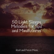 50 Light Sleepy Melodies for Spa and Mindfulness
