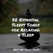 50 Essential Sleepy Songs for Relaxing & Sleep