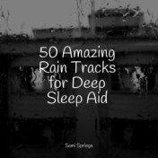 50 Amazing Rain Tracks for Deep Sleep Aid