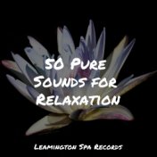 50 Pure Sounds for Relaxation