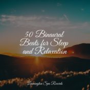 50 Binaural Beats for Sleep and Relaxation