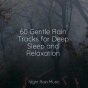 60 Gentle Rain Tracks for Deep Sleep and Relaxation