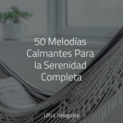 50 Melodías Calmantes Para la Serenidad Completa