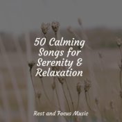 50 Calming Songs for Serenity & Relaxation