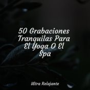 50 Grabaciones Tranquilas Para El Yoga O El Spa