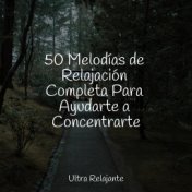 50 Melodías de Relajación Completa Para Ayudarte a Concentrarte