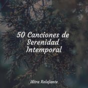 50 Canciones de Serenidad Intemporal