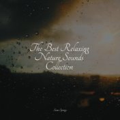 The Best Relaxing Nature Sounds Collection