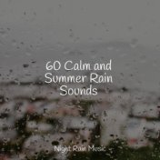60 Calm and Summer Rain Sounds