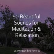 50 Beautiful Sounds for Meditation & Relaxation