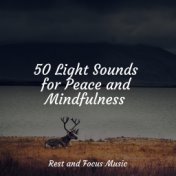 50 Light Sounds for Peace and Mindfulness