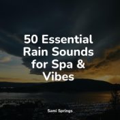 50 Essential Rain Sounds for Spa & Vibes