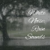 White Noise: Rain Sounds
