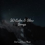 50 Calm & Slow Songs