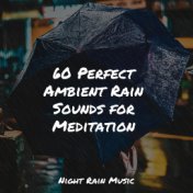 60 Perfect Ambient Rain Sounds for Meditation