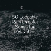 50 Loopable Rain Droplet Songs for Relaxation
