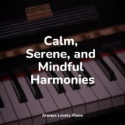 Calm, Serene, and Mindful Harmonies