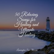 50 Relaxing Songs for Healing and Ultimate Healing