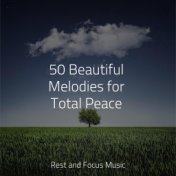 50 Beautiful Melodies for Total Peace