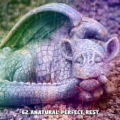 62 ANatural Perfect Rest