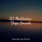 50 Meditation Yoga Sounds