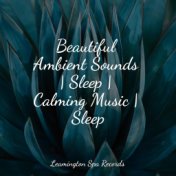 Beautiful Ambient Sounds | Sleep | Calming Music | Sleep