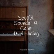 Soulful Sounds | A Calm Well-being