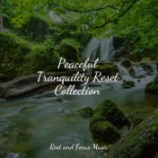 Peaceful Tranquility Reset Collection