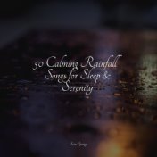 50 Calming Rainfall Songs for Sleep & Serenity