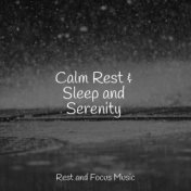 Calm Rest & Sleep and Serenity