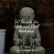 50 Sounds for Sleep and Chill Ambience