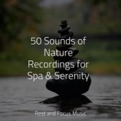 50 Sounds of Nature Recordings for Spa & Serenity