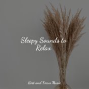 Sleepy Sounds to Relax